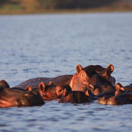 Lake Naivasha Simba Lodge Nairobi Luaran gambar