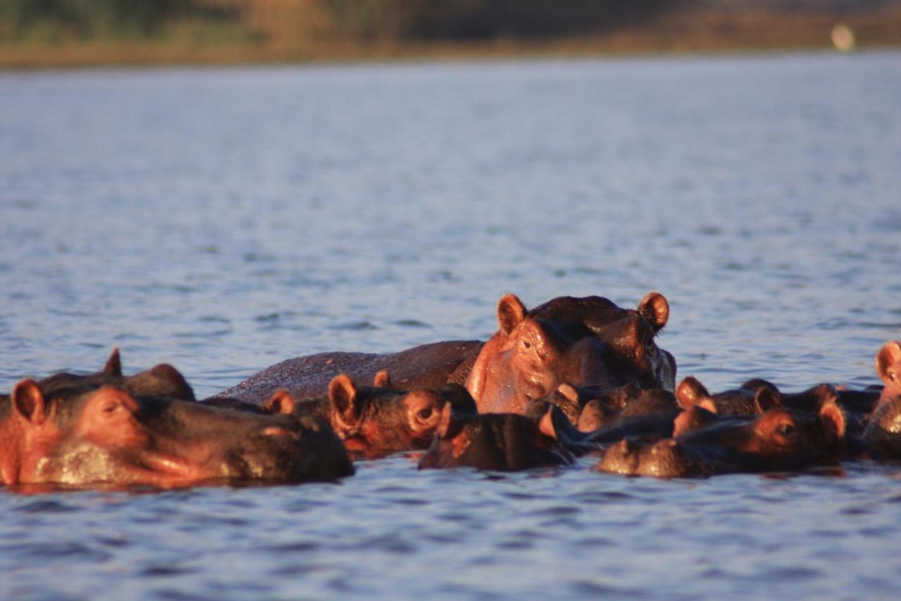 Lake Naivasha Simba Lodge Nairobi Luaran gambar