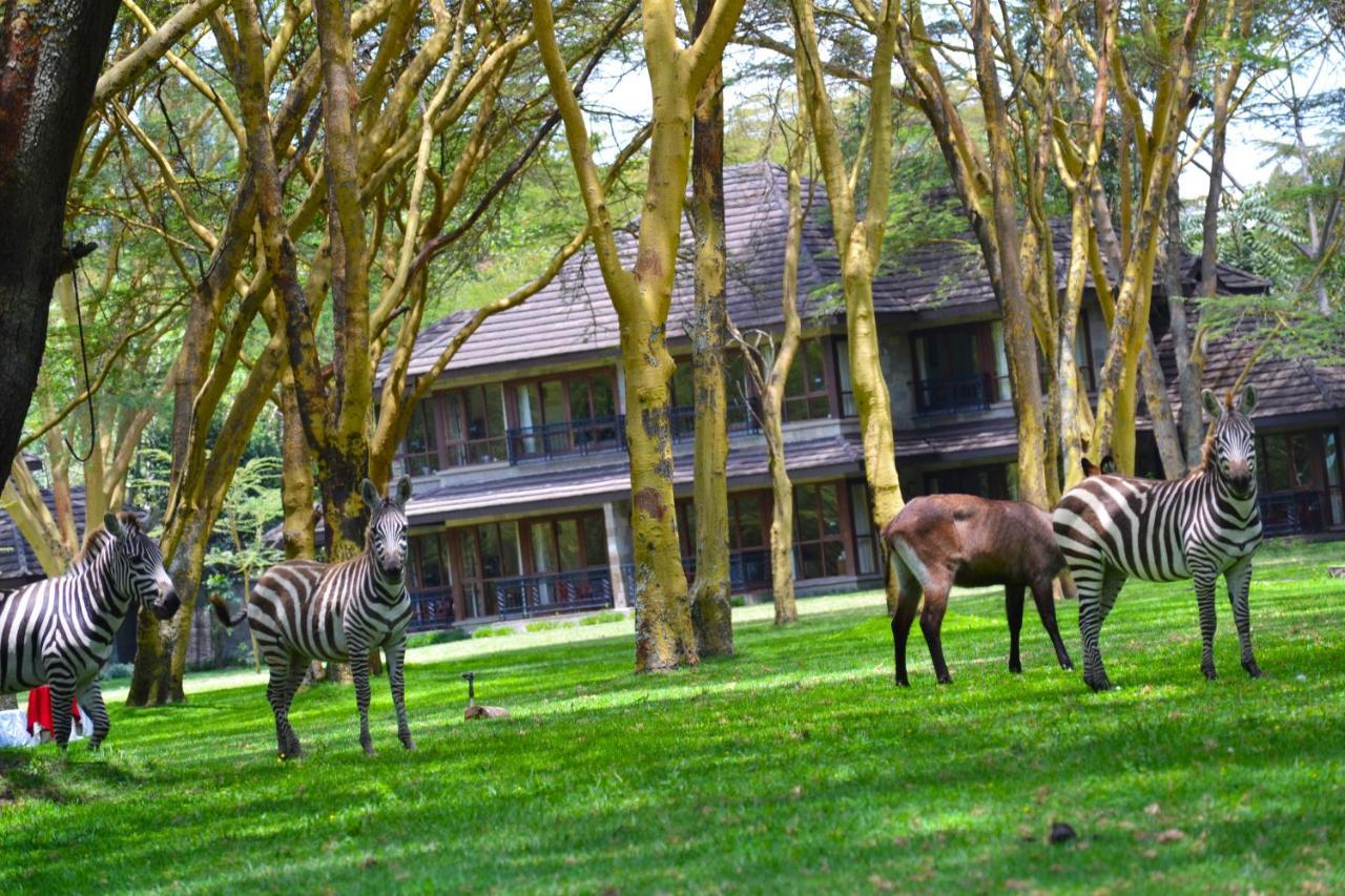 Lake Naivasha Simba Lodge Nairobi Luaran gambar